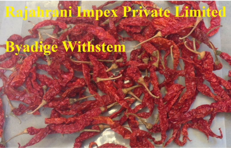 Sannam S4 Red color chilly to exports
