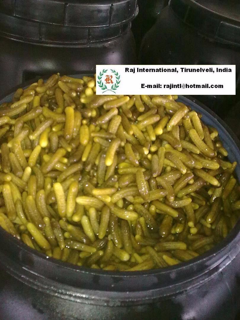 pickled cucumber in acetic acid