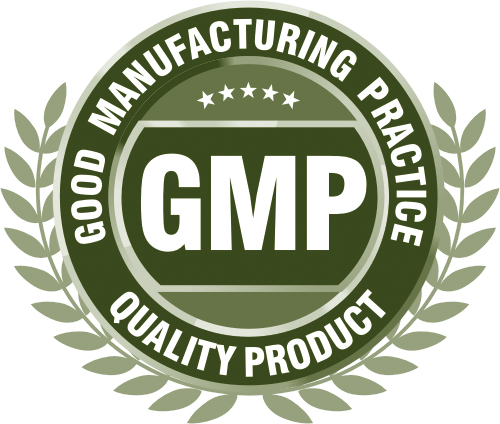 GMP Logo.png
