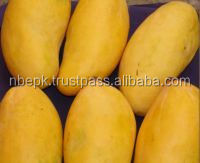 sindhri mango1.jpg