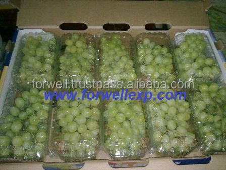 green superior graps.jpg