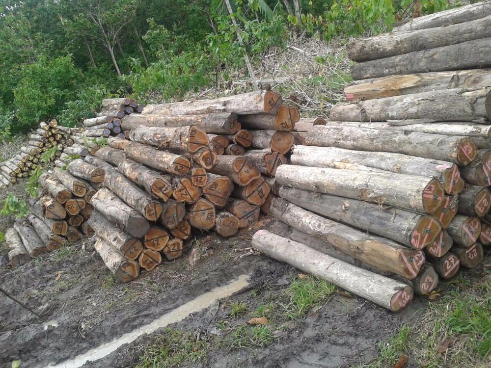 Burma Teak Logs Buy Burma Teak Logs,Burma Teak Wood Round Log,Buema