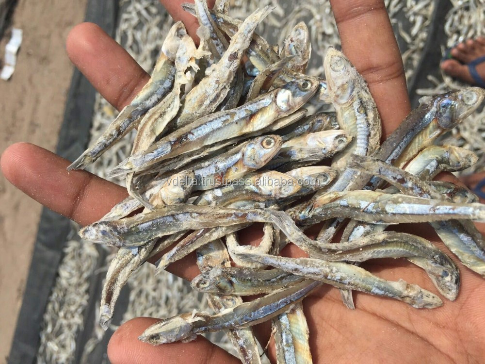 dried sprats / dried silver anchovy/dried fish/sea food/anchovy