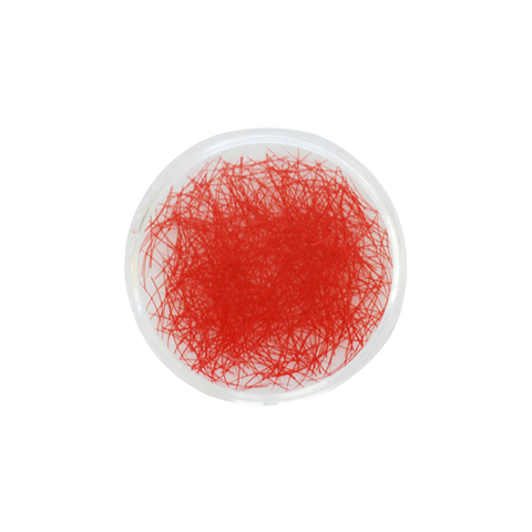 CL2-red.jpg