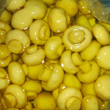 Fresh Canned Champignon Mushroom (Whole, slices and pieces)
