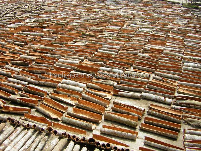 Bulk source Cassia for export