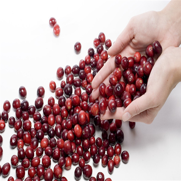 TTN 2014 export price red dried cranberry extract