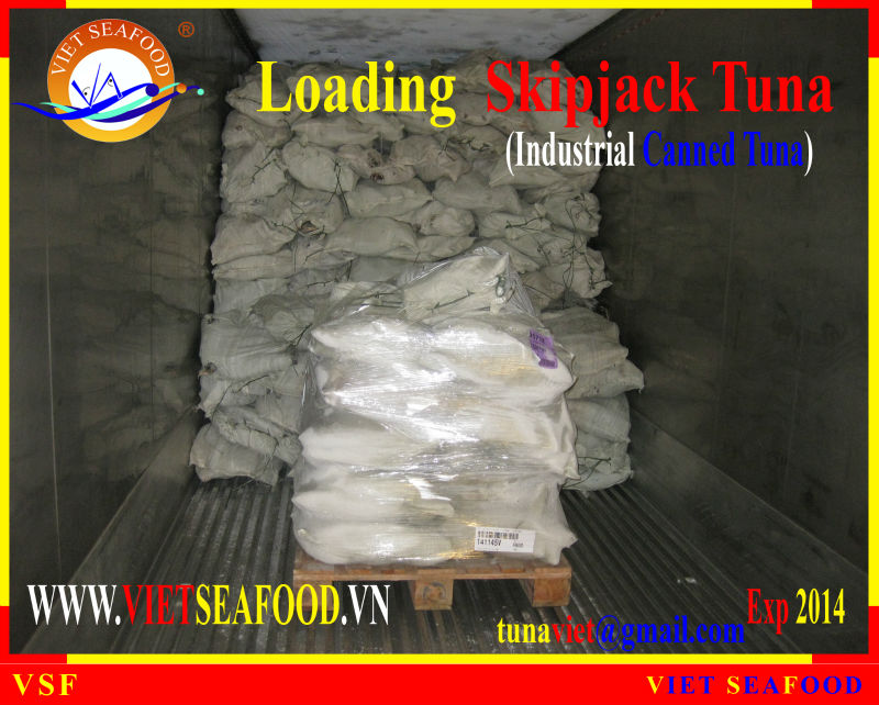 LOADING FROZEN SKIPJACK TUNA W/R