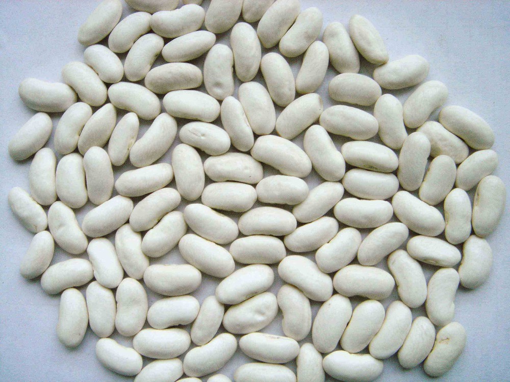 White Long Beans Best Quality Buy White Beans For Sale,White Alubia