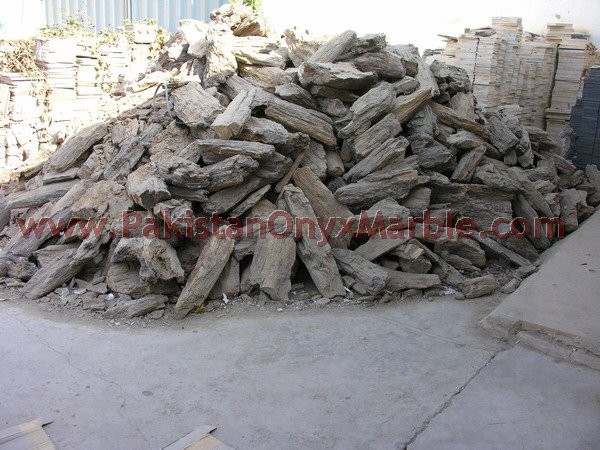 petrified-wood-rough-04.jpg