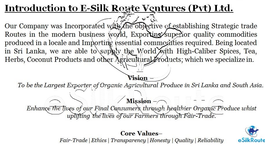 4.1 Company Introduction.JPG