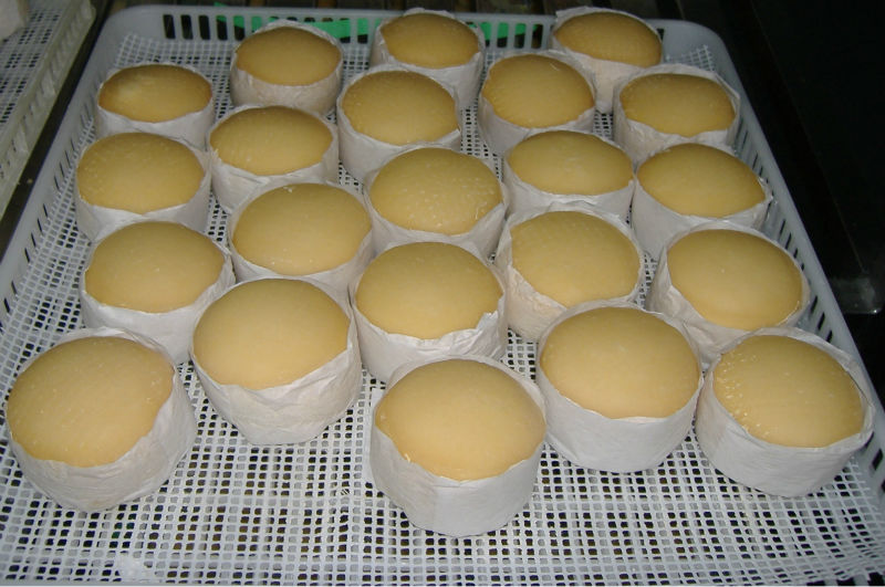 Cured Sheep Cheese Buttery