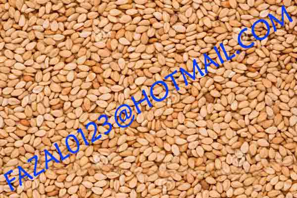 SESAME-SEEDS-(4).jpg