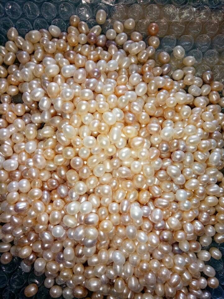 pearls quality-12.3,2015.jpg