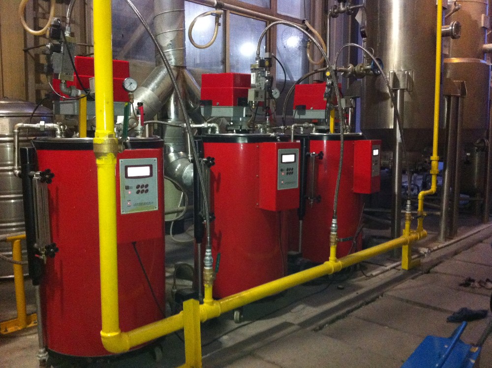 gas steam boiler