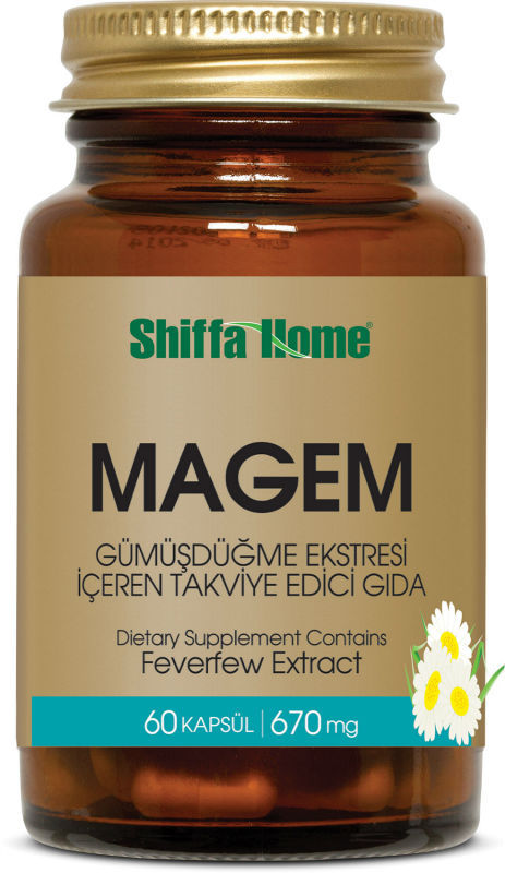 Magem 3d