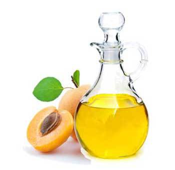 Apricot Kernel Oil Bulk.