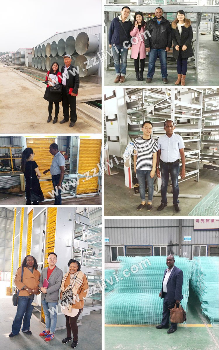 Customers visiting automatic poultry layer cages systems