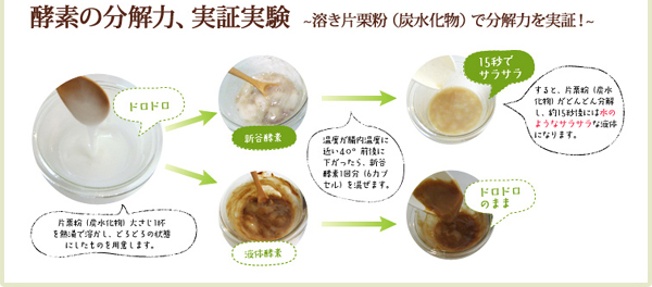 SHINYA Enzyme Standard Slimming Diet Supplement Made in Japan High Qaulity and Safety