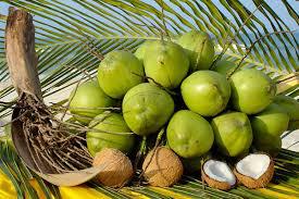 photo coconut water