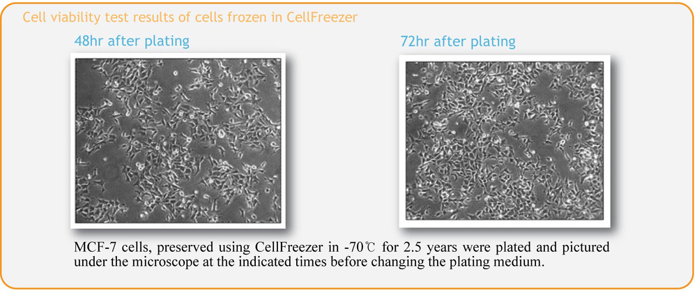 CellFreezer