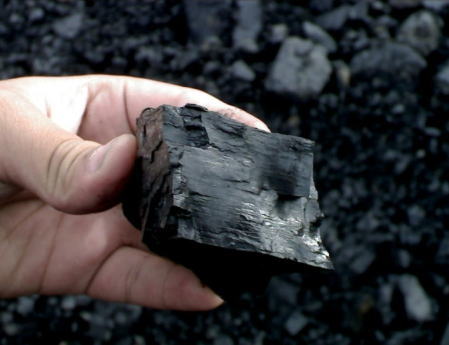 CCOAL 65.jpg