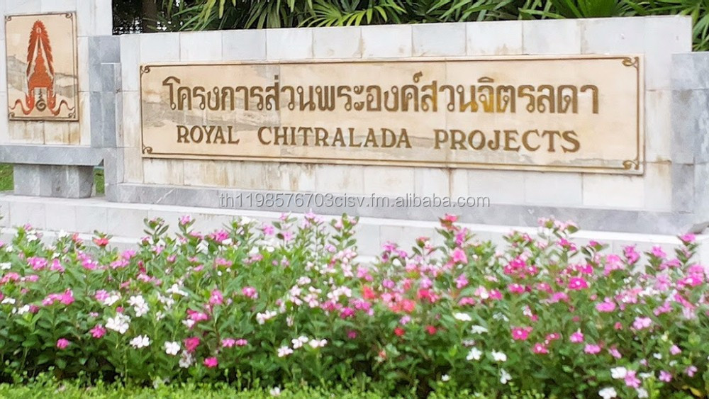 thailand milk tablet from royal chitralada projects