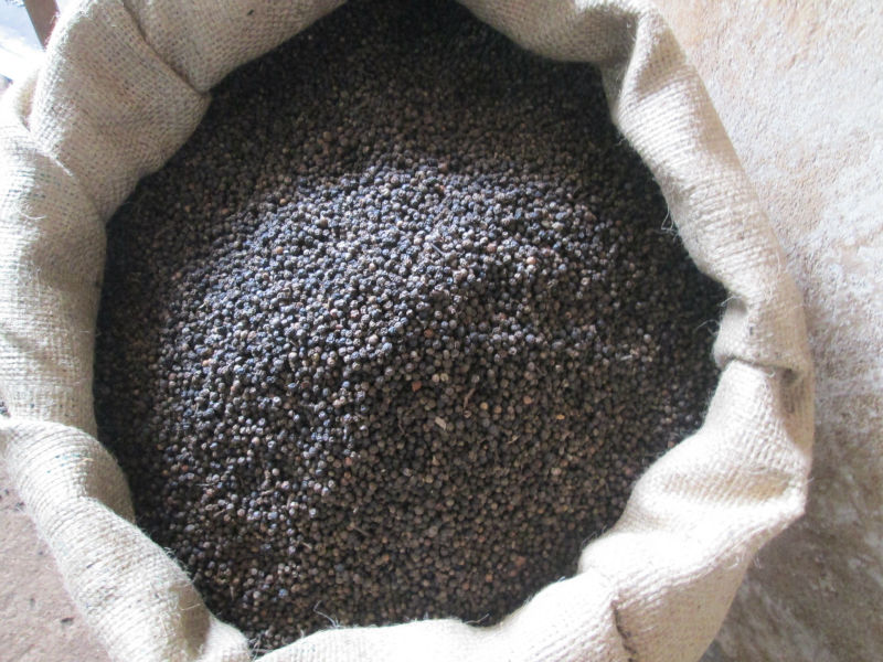 BLACK PEPPER 500GR/L FAQ NEW CROP 2014