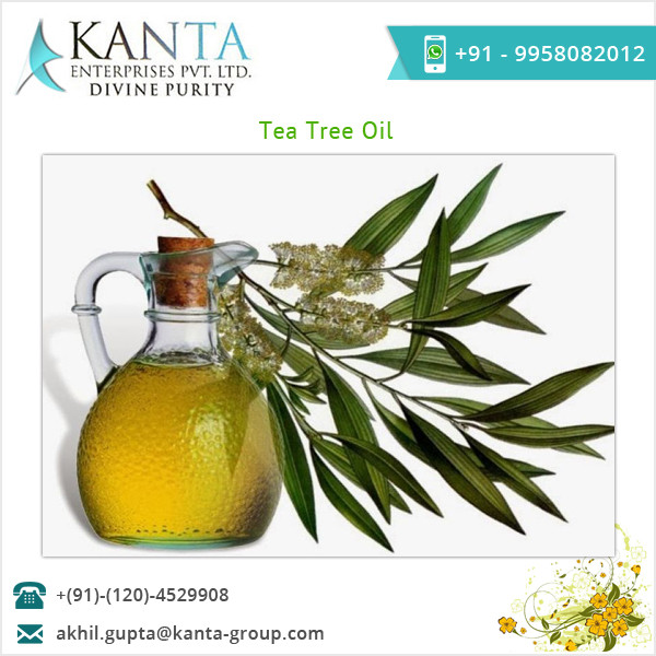 Tea Tree Oil.jpg