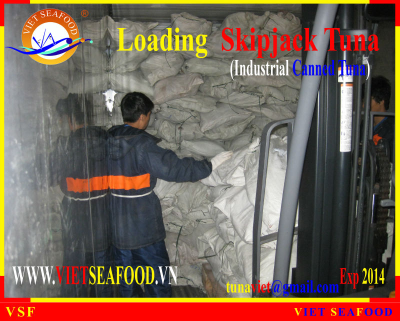 LOADING FROZEN SKIPJACK TUNA W/R