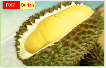 Alibaba Durian | durian buy fresh durian product on alibaba com Alibaba Durian | durian buy fresh durian product on alibaba com