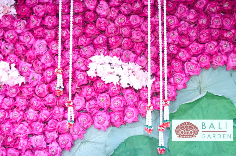 新鮮なカット蓮の花ピンクの新鮮な切り花の種類問屋・仕入れ・卸・卸売り