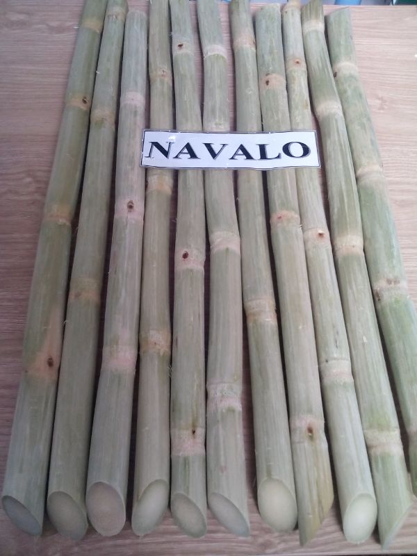 Fresh Sugar Cane (stick) Buy Sugar Cane For Sale,Sugar Cane Factory