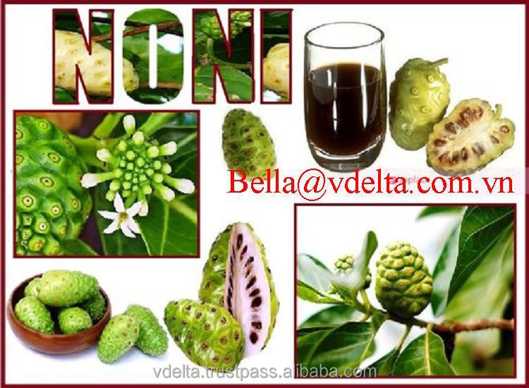 NONI JUICE CONCENTRATE