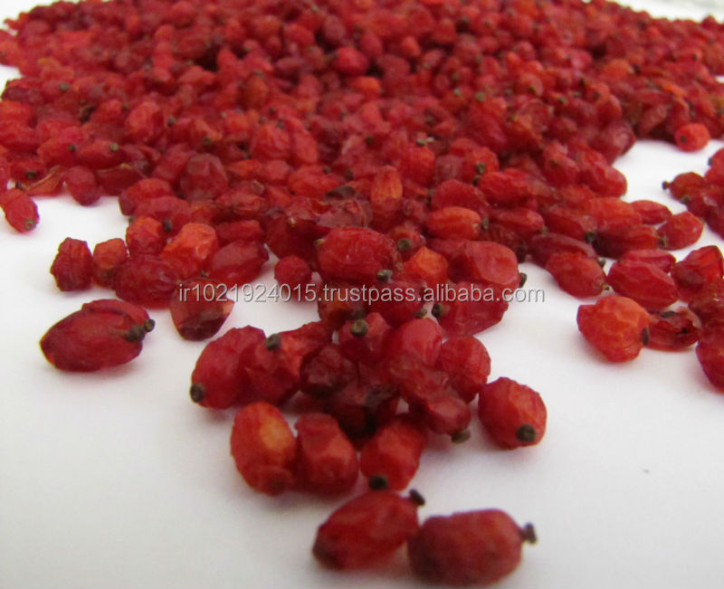 Top quality Dried barberry in Bulk