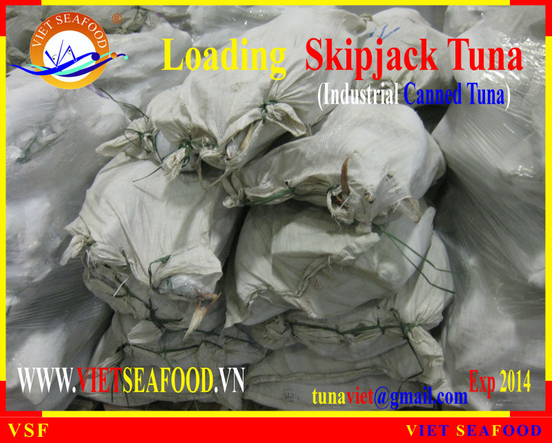LOADING SKIPJACK TUNA W/R