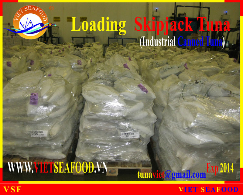 LOADING FROZEN SKIPJACK TUNA