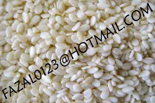 SESAME-SEEDS-(1).jpg