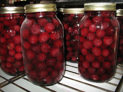 Fresh Sour Canned Sour Cherry
