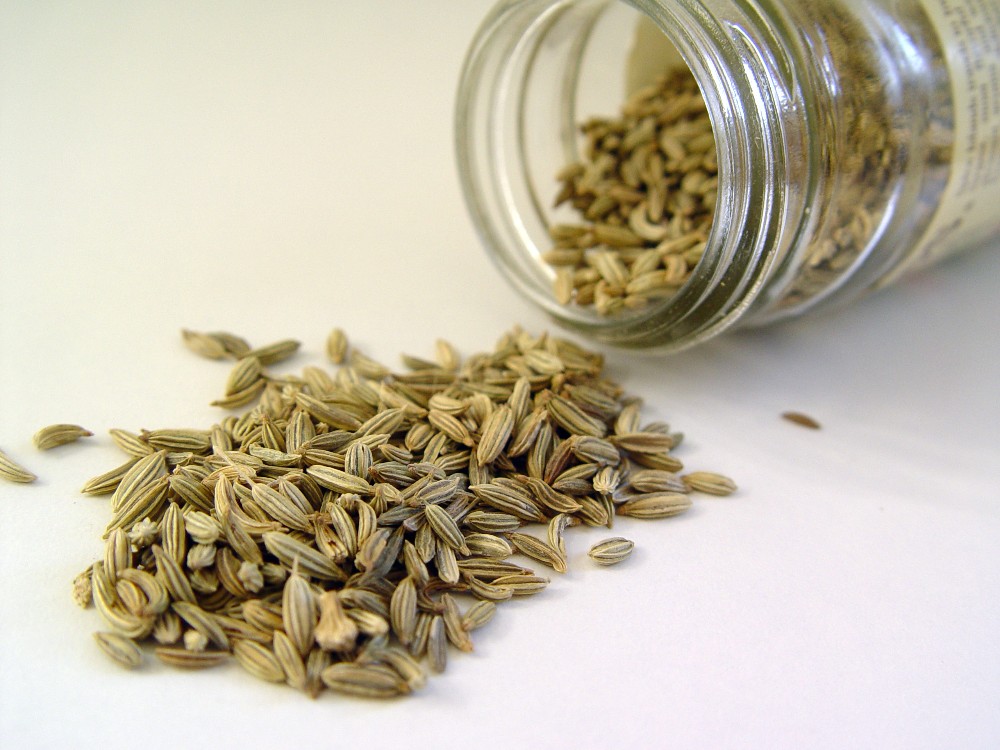 Fennel_seed 2.jpg