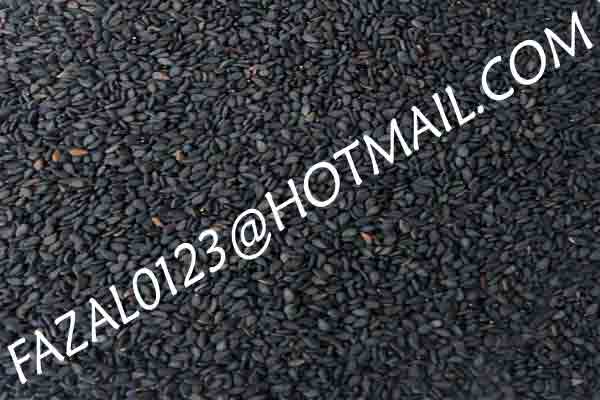 SESAME-SEEDS-(2).jpg
