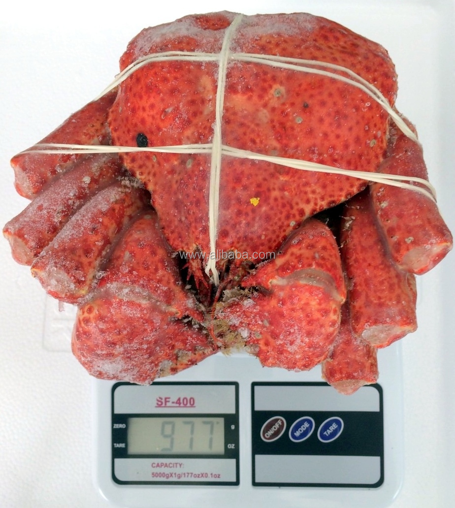 Lucky Red Snow Crab wieght.jpg