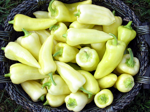 Simple and Easy Hungarian Cheese-Stuffed Wax Peppers Recipe Wax pepper recipe, S