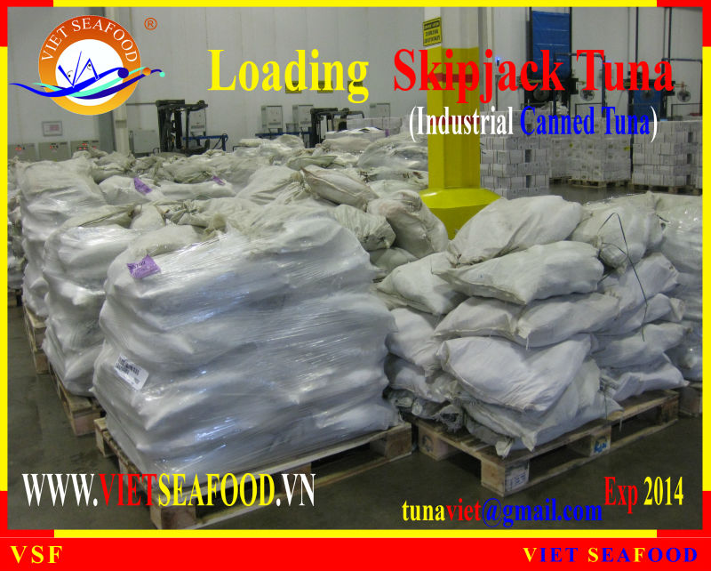 LOADING SKIPJACK TUNA W/R