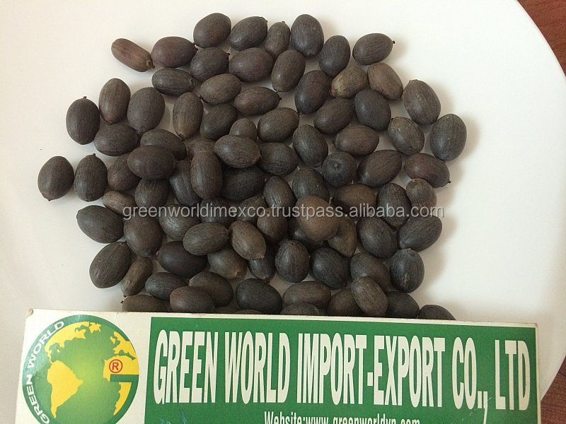 hot sell_dried black lotus seed_high quality