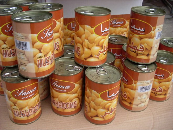 Fresh Canned Champignon Mushroom (Whole, slices and pieces)