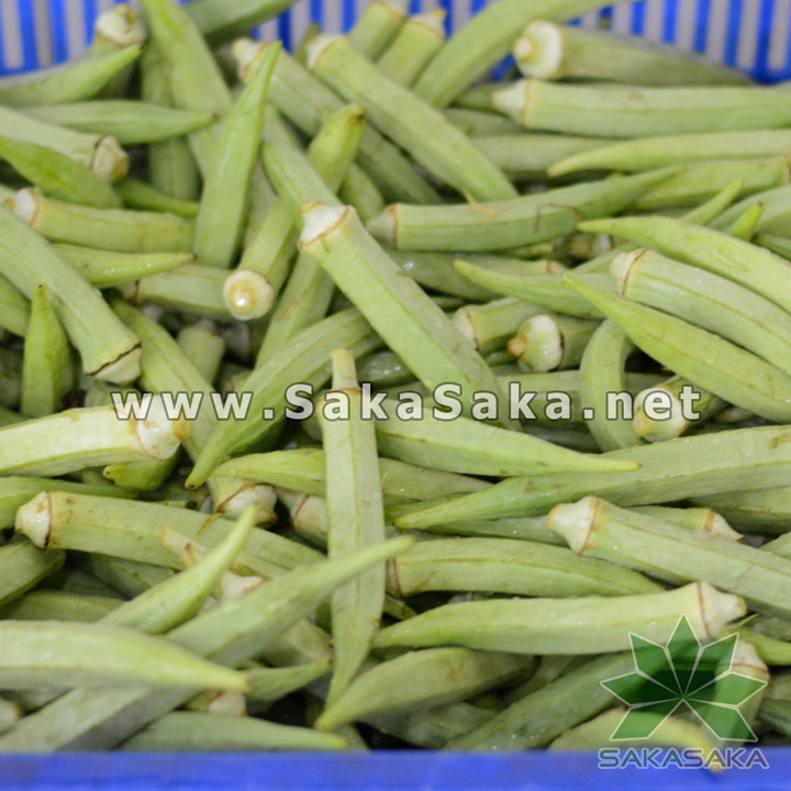 okra-1-1_08.jpg