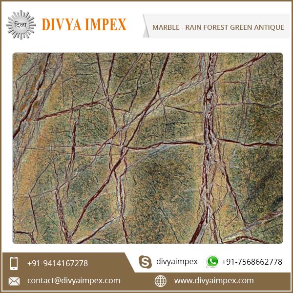 divya-impex_indian-marble_rain-forest-green-antique.jpg