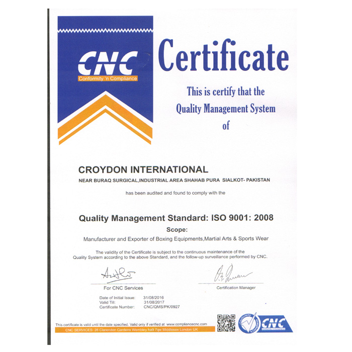 ISO 9001 copy