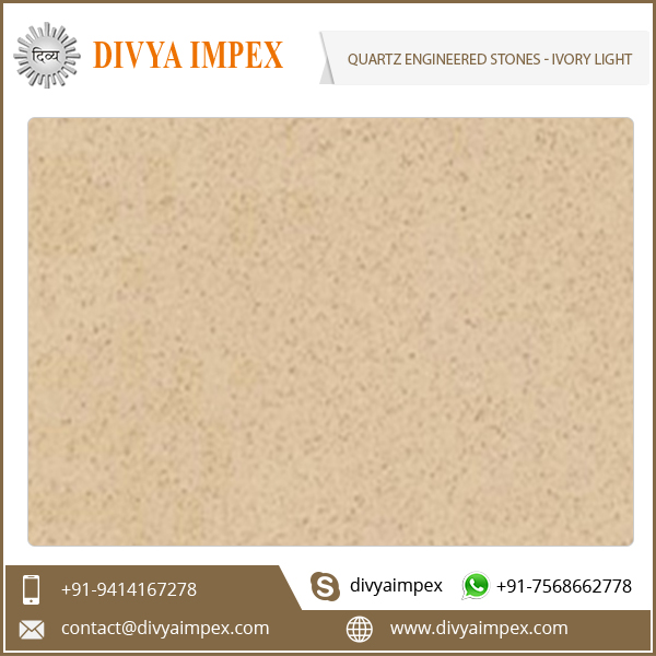 ivory-light (1).jpg